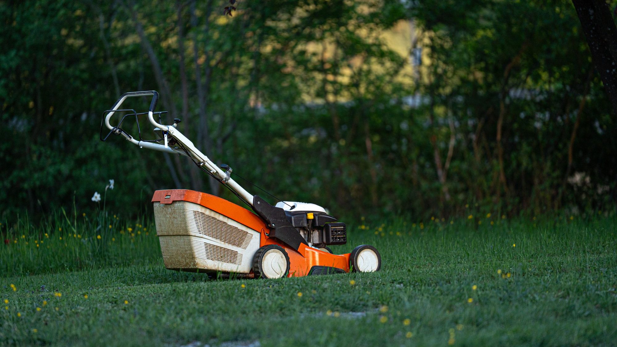 Lawn mower standing on freshly cut grass at dusk