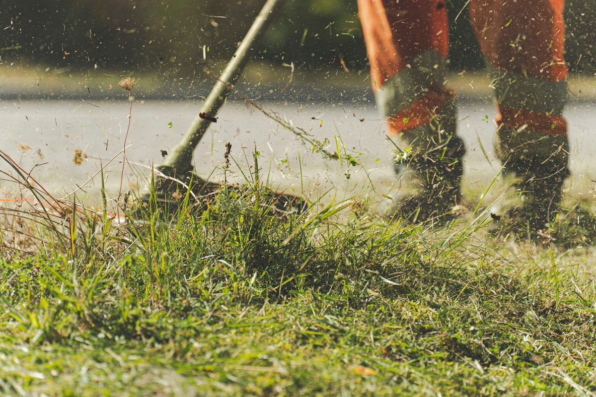 String trimmer cutting through grass, clippings in the air